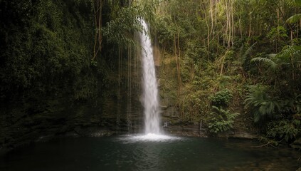 Fototapeta premium Dripping water, lush green moss, and ferns create a serene environment at Carnarvon Gorge, promoting relaxation.