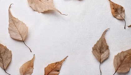 White Paper Texture With Dry Leaves Pattern Background Blank White Paper With Brown Leaves Texture