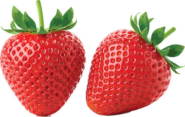 Two Fresh and Ripe Red Strawberries Vector Illustration with Green Leaves, Excellent for Healthy Food, Dessert, and Juice Packaging Design.