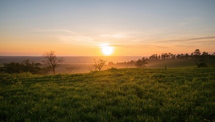 Light sky over a serene landscape, emphasizing seasonal change