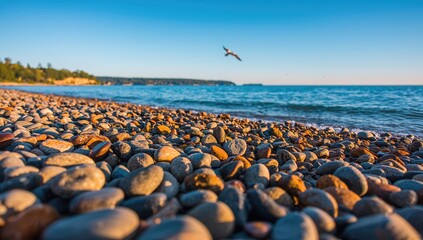 Wet pebbles along the shoreline, summer backdrop for coastal themes