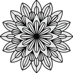 Fototapeta premium Black and white abstract floral vector illustration with flower and leaves