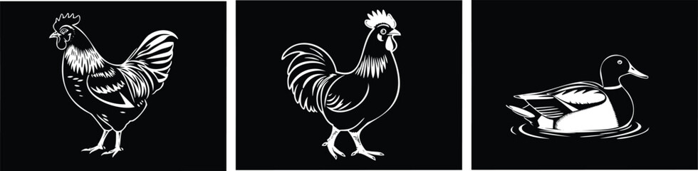 A black and white illustration of a rooster, another rooster, and a duck on a transparent background