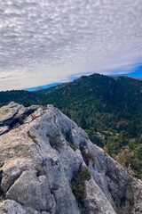 Panoramic view on surrunding pine forest from Puerto Saucillo viewpoint, Sierra de las Nieves national park, Andalusia, Spain