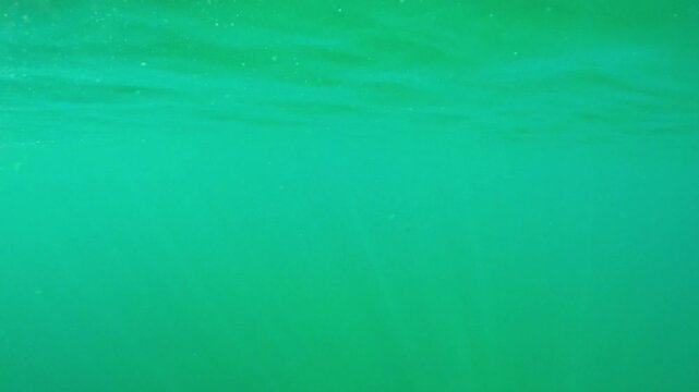Calm and tranquil underwater background with the surface of the green water shimmering as gentle sun rays penetrate the murky depths, creating a mysterious and serene atmosphere