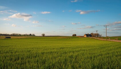 Fototapeta premium A rural landscape with a field, highlighting seasonal change