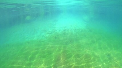 Shafts of sunlight pierce clear lake water, warming sand and rock as delicate aquatic plants sway in gentle current, creating a tranquil, pristine underwater scene