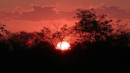 Setting sun over the horizon, evoking a sense of tranquility