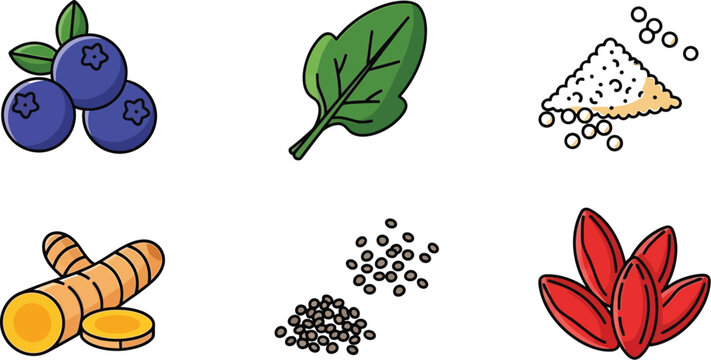 Healthy superfoods and spices for wellness and nutrition