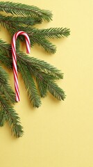 Festive christmas background with candy cane and evergreen branches for holiday design
