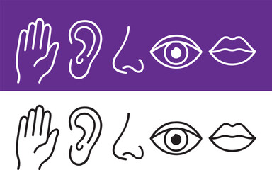 Illustrations of human senses sight sound touch smell and taste depicted