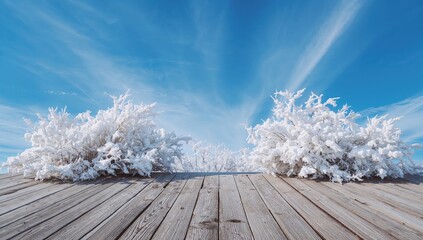 Snow-laden frozen trees and shrubs on a wooden deck beneath a clear blue winter sky, showcasing seasonal change