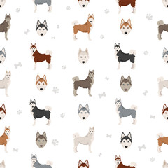 Siberpoo dog. Husky doodle clipart. Siberian husky Poodle mix. Different coat colors set.  Vector illustration