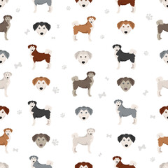 Siberpoo dog. Husky doodle clipart. Siberian husky Poodle mix. Different coat colors set.  Vector illustration