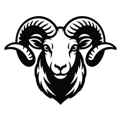 vector image of a lion