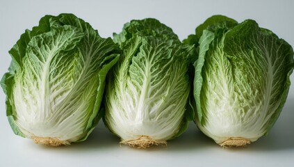 Fototapeta premium Neatly arranged cabbage, fresh produce for sale, fiber-dense choice