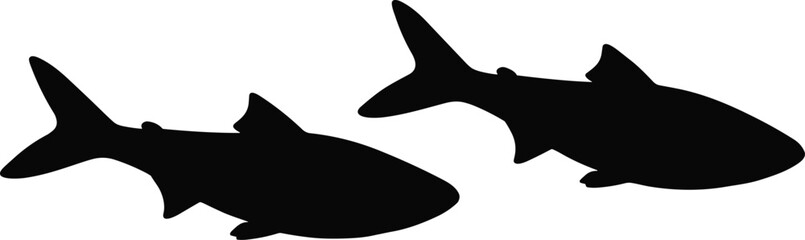 Two black shark silhouettes swimming in opposite directions on white vector © Pixolio