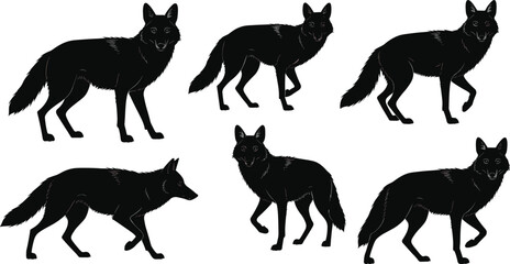 PrintBlack wolf illustrations in multiple standing and walking poses, detailed silhouette artwork showcasing wild animal behavior, wildlife design elements for graphic use