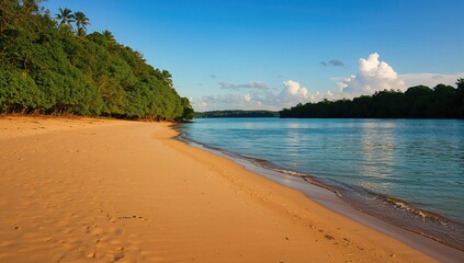 Sandy riverside beach with sunlit shores, ideal for relaxation