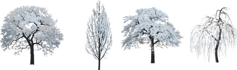 Winter tree illustration set, stylized botanical vector, snow-covered leafless branches, seasonal nature clipart, landscape design elements, isolated on white