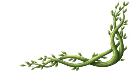Green vine with leaves forming a decorative corner. Green vine entwined with leaves forming a decorative corner element isolated on transparent background