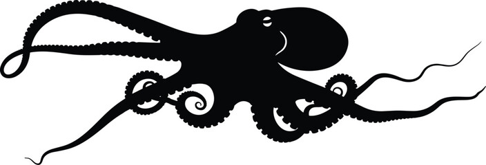 Black silhouette of an octopus with swirling tentacles on white background cephalopod © Pixolio