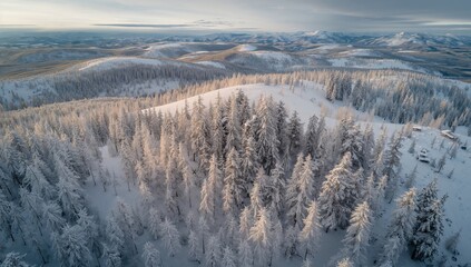 Aerial view of snow-covered trees in mountainous terrain, seasonal change