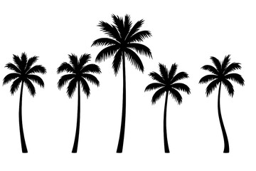 Obraz premium Black silhouettes of tropical palm trees standing tall against a white background