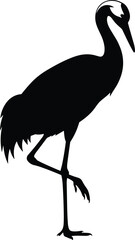 Black silhouette of a crane standing on one leg with white head detail bird