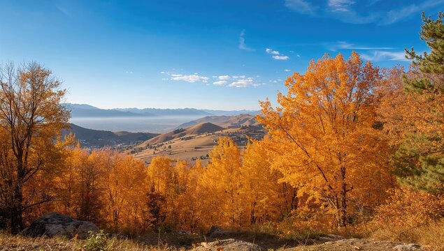 Naran trees during autumn season, showcasing seasonal change
