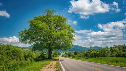 Naklejka premium Roadside tree under a blue sky, showcasing natural beauty and environmental preservation