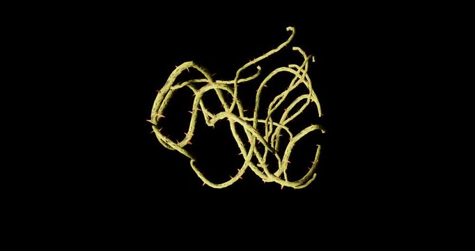 bramble effect on black background