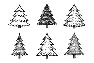 Obraz premium Six stylized evergreen trees in various hand-drawn sketch styles for winter and holiday designs