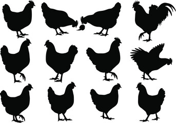 Black chicken silhouette collection of hens and roosters in various poses, farm bird vector illustration set for design and decoration