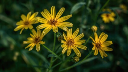Fototapeta premium Yellow Flowers Against a Green Backdrop, suitable for editorial headers