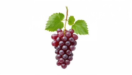 Fototapeta premium Isolated grape on a clean surface, fiber-dense choice