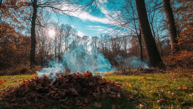 Smoke rising from burning leaves, seasonal change - Powered by Adobe