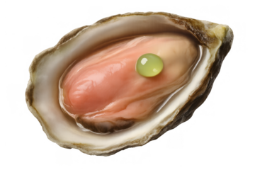 Fresh oyster serving, close-up view of raw seafood delicacy with lime pearl, gourmet appetizer on transparent background