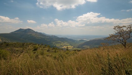 South African countryside landscape, showcasing seasonal change