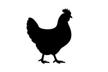 Simple black silhouette of a domestic chicken or hen standing in profile view