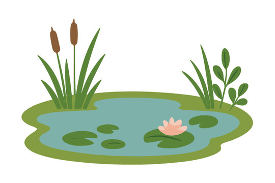 Natural pond landscape featuring blooming water lily, floating lily pads, and tall cattail reeds