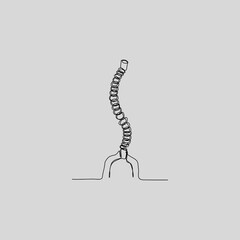 A single continuous line drawing of the human spine and pelvic bone. This minimalist anatomy illustration is perfect for medical, chiropractic, or educational projects.