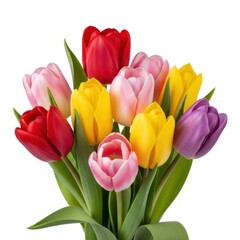 Fototapeta premium Colorful bouquet of tulips isolated on white background