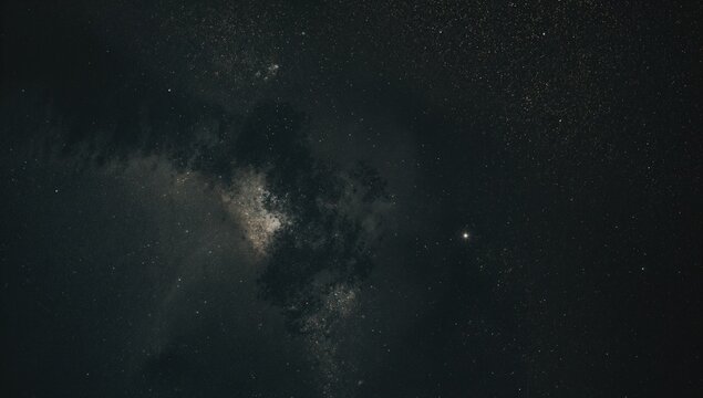 Beach sky with trees and forest, ideal for relaxation and vacation vibes