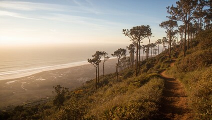 Trekking path through volcanic mountains with pine trees and ocean view, outdoor adventure