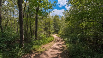 Naklejka premium Trail winding through the woods near a nature center, seasonal change