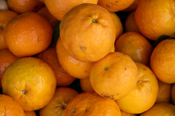 oranges in the market