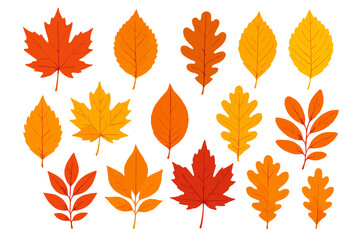 Colorful fall foliage elements including maple and oak leaves isolated on white background