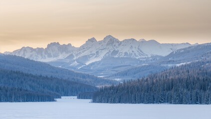 Fototapeta premium Winter mountain landscape with snow-covered trees, showcasing seasonal change