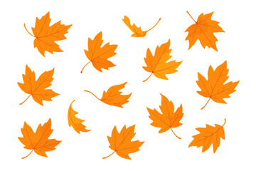 Obraz premium Scattered orange autumn maple leaves falling down creating a seamless pattern